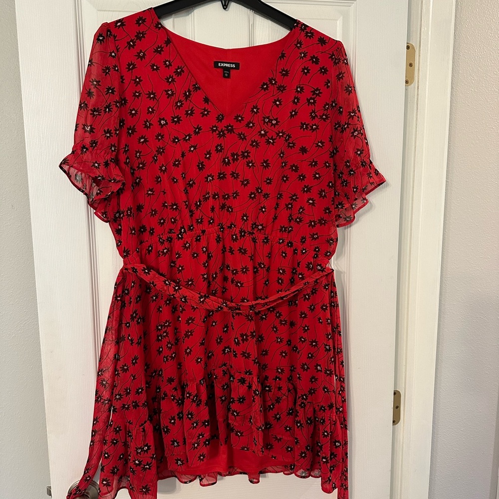 Express Scarlet Floral V-Neck Dress